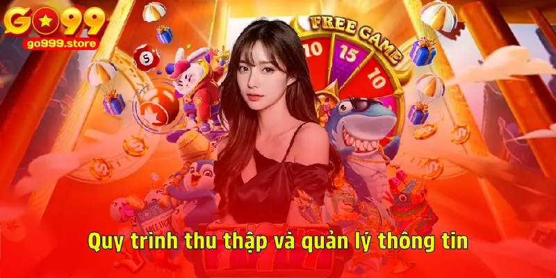Quy trình thu thập và quản lý thông tin