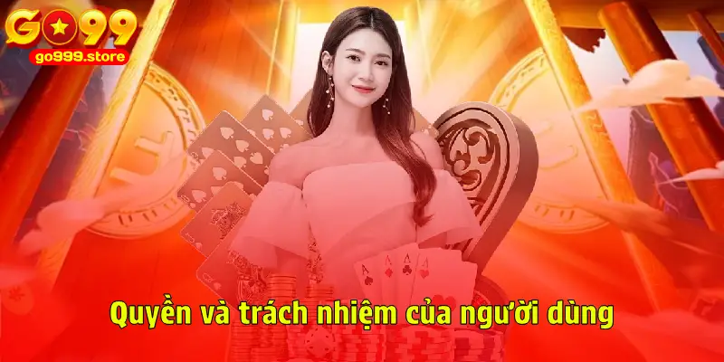 Quyền và trách nhiệm của người dùng